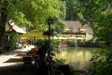 Waldhotel Silbermuehle Horn-Bad Meinberg Exteriör bild