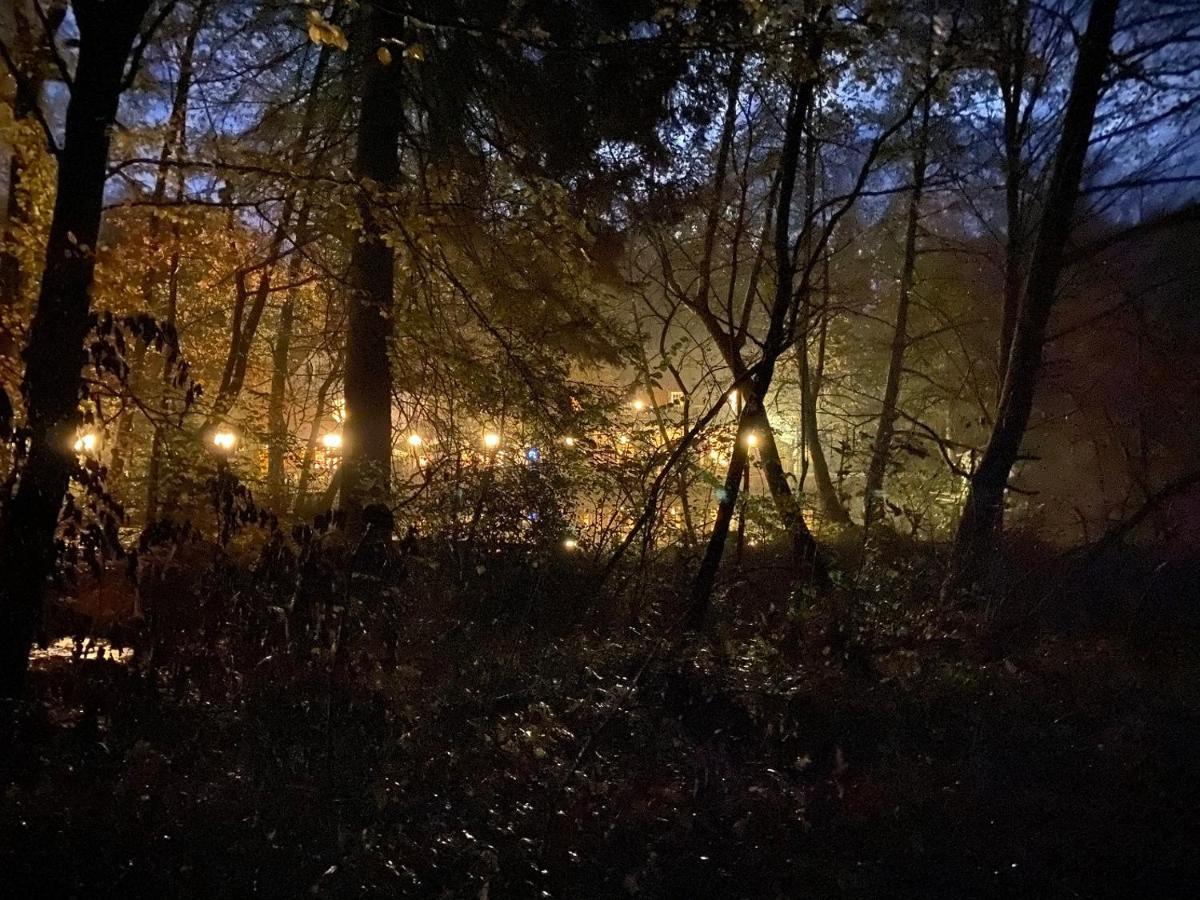 Waldhotel Silbermuehle Horn-Bad Meinberg Exteriör bild