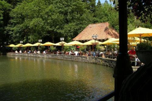 Waldhotel Silbermuehle Horn-Bad Meinberg Exteriör bild